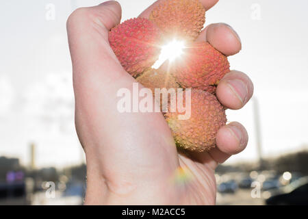 Le litchi dans la main dans la rue des fruits dans le soleil Banque D'Images