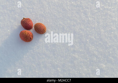 Neige litchi fruits utiles à partir de la Chine pour la santé Banque D'Images