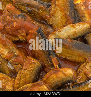 Fermer la vue d'anchois dans une épaisse sauce tomate. Banque D'Images