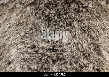 La texture de la fausse fourrure Banque D'Images