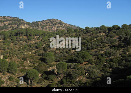 Vue sur colline rocheuse légèrement boisés Parque Natural Sierra de Andujar, Jaen, Espagne Janvier Banque D'Images