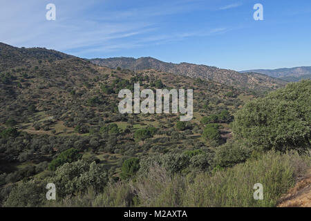 Vue sur colline rocheuse légèrement boisés Parque Natural Sierra de Andujar, Jaen, Espagne Janvier Banque D'Images