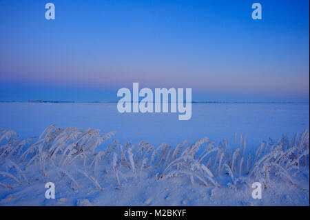 Un paysage d'hiver horizontal image après le soleil s'est couché sur un champ agricole dans les régions rurales de l'Alberta au Canada. Banque D'Images