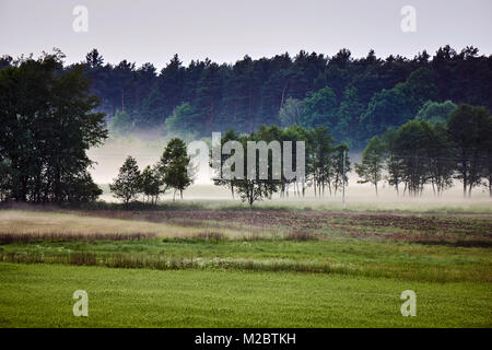 Paysage du village avec des stries de brume en Pologne Banque D'Images