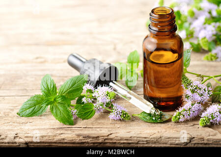 Fleurs fraîches de menthe poivrée Menthe poivrée et de violette l'huile essentielle sur la table en bois Banque D'Images