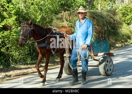 Jeune agriculteur avec son cheval Pinar de Banque D'Images