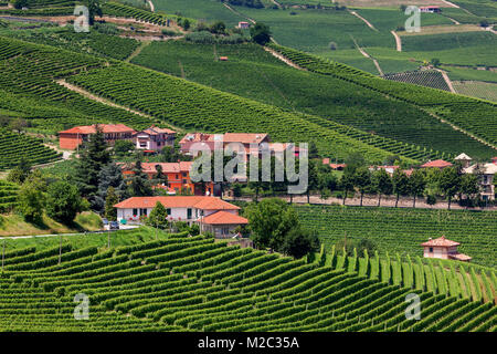 Petit village entre les vignes vertes en été dans le Piémont, Italie du Nord. Banque D'Images