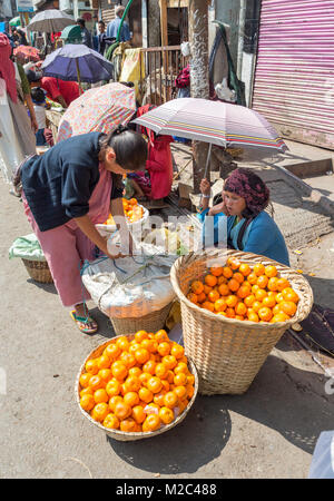 Femme vendant des oranges à côté de route, Shillong, Meghalaya, en Inde Banque D'Images