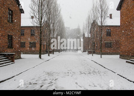 Auschwitz, Malopolskie / Pologne - 04 févr. 2018 : Auschwitz Birkenau, camp de concentration et d'extermination nazis. Banque D'Images