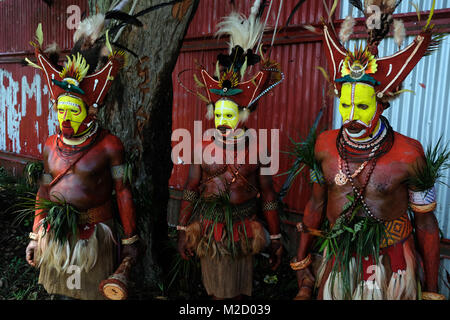 Huli Wigmen peint et habillé pour la Mount Hagen Spectacle culturel en Papouasie Nouvelle Guinée Banque D'Images