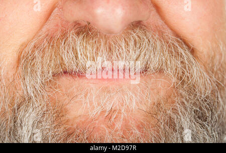 Close up portrait de senior man's barbe et moustache gris plus de lèvres Banque D'Images