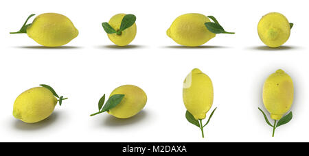 L'un venu avec des feuilles de citron rend défini à partir d'angles différents sur un blanc. 3D illustration Banque D'Images
