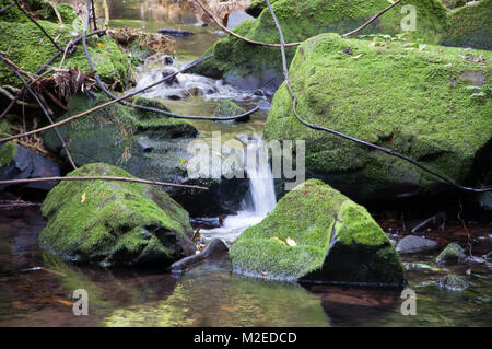 L'eau de la rivière des Roches Banque D'Images