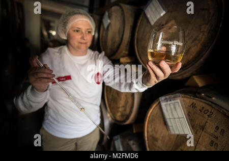 Maître distillateur Nina Lang le prélèvement d'un échantillon provenant d'un fût de chêne avec une pipette et maintenant le glas dans la lumière afin de détecter les particules déposées dans Schlitz, Allemagne, 01 février 2018. Le chlitzer «Destillerie' (lit. Distillerie Schlitz) a été fondée en 1585 et est la plus ancienne distillerie en Allemagne. Aujourd'hui, plus de 35 spiritueux sont produits ici, entre autres, du whisky et des schnaps. Photo : Boris Roessler/dpa Banque D'Images