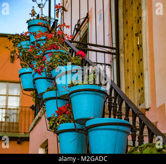 Bleu coloré avec des pots de plantes rouges sur metal escalier rustique dans la rue et porte en bois Banque D'Images