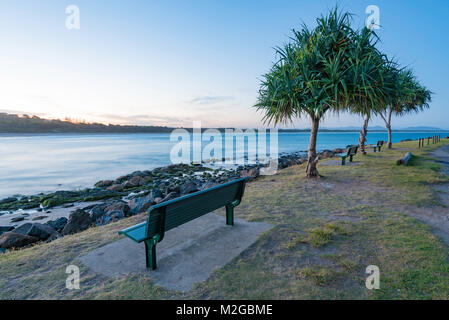 Seul un siège avec un matin tôt sur la plage principale à Scotts Head sur la côte nord de l'Australie NSW avec arbres Pandanus Pandanus (spiralis) Banque D'Images