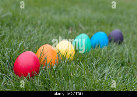 Six oeufs de Pâques en couleur une herbe Banque D'Images