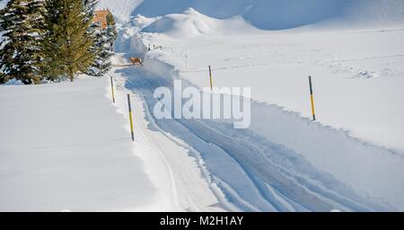 Libéré de la route d'importantes chutes de neige Banque D'Images