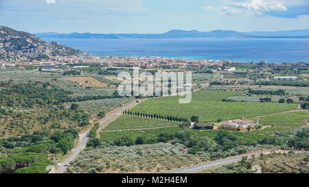 Espagne Costa Brava vue sur les champs de vignes et d'oliviers avec la mer Méditerranée et la ville de Roses, Gérone, Catalogne, Alt Emporda Banque D'Images