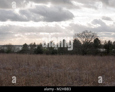 Moody skyline nuages sur la ferme de l'automne ; champ ; Essex, Angleterre, Royaume-Uni Banque D'Images