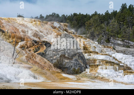 L'eau des sources thermales Mamoth terrasses cascades en bas laissant des dépôts blanc et brun derrière. Banque D'Images