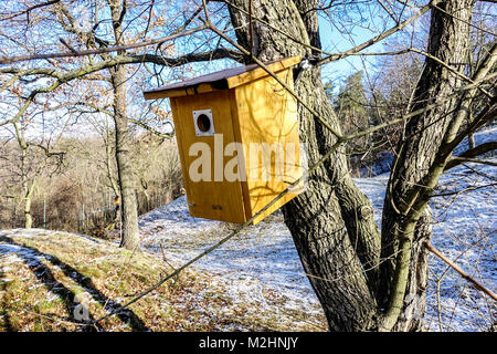 Nichoir en bois d'hiver accroché sur l'arbre au début du printemps, jardin d'hiver de maison d'oiseau fin d'hiver Banque D'Images