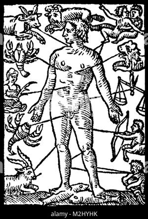 Zodiaque Astrologie médicale, l'Homme, 1609 Banque D'Images