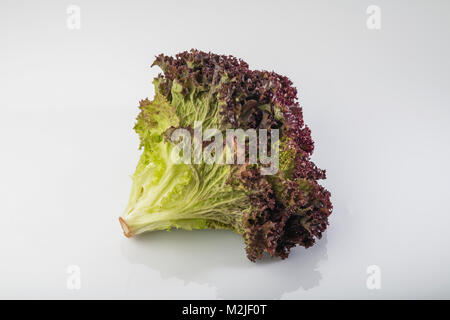 Légumes frais : laitue frisée rouge isolé sur fond blanc Banque D'Images