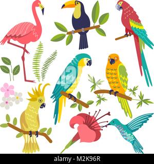 Ensemble d'oiseaux tropicaux Illustration de Vecteur