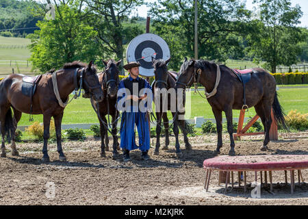 Horrseman hongrois en costume traditionnel. Debout avec son équipe de chevaux après une performance dans la campagne de Budapest en Hongrie. Banque D'Images