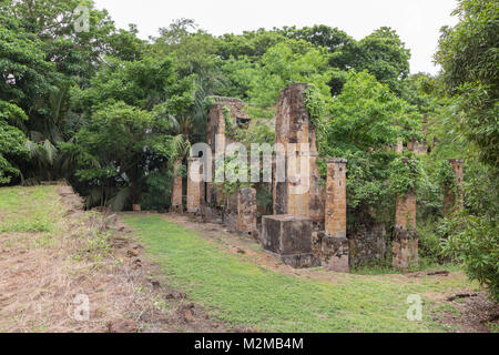 Ruines de l'ancienne colonie pénitentiaire à l'île Royale, l'une des îles des Iles du Salut (Îles du salut) en Guyane. Banque D'Images