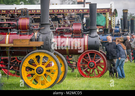 Couple avec chien admirer machine à vapeur tracteur, Masham, North Yorkshire, UK Banque D'Images