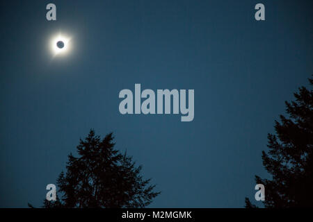 Le Grand Américain Eclipse comme vue à Silver Falls State Park, Silver Falls, OU, USA Banque D'Images