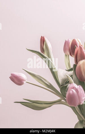 Vintage tulips in soft couleur rose. Vertical image avec l'exemplaire de l'espace. Banque D'Images