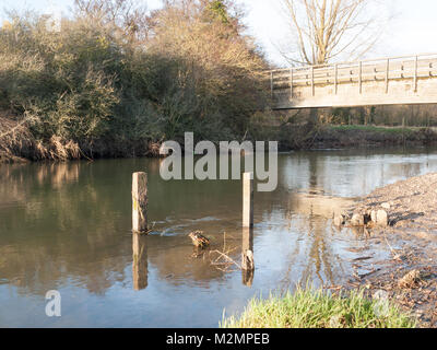 Vieilles souches de bois mort debout dans l'eau du lac de la rivière paysage ; Essex ; Angleterre ; uk Banque D'Images