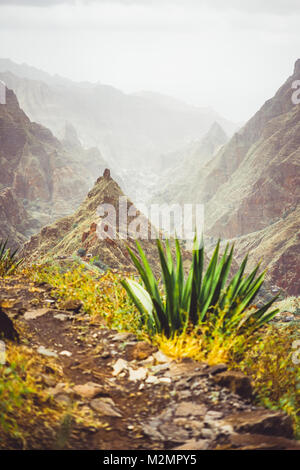 Sommet de montagne des Xo-xo valley et agaves sur la route de trekking vers le bas. L'île de Santo Antao, Cap Vert Banque D'Images