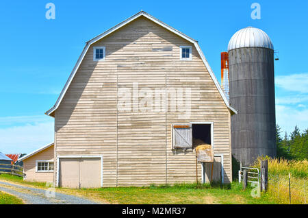 Un pays magnifique grange avec un silo et de foin shoot avec ciel nuageux ciel bleu. Une route de gravier à l'avant-plan conduit à d'autres bâtiments. Banque D'Images