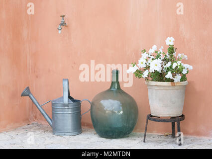 Jardin Nature morte avec arrosoir, vase pot rond et blanc avec pétunia. Banque D'Images