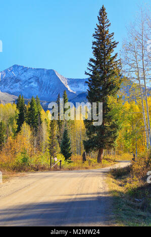 Lost Lake Road, Kebler Pass, Crested Butte, Colorado, USA Banque D'Images