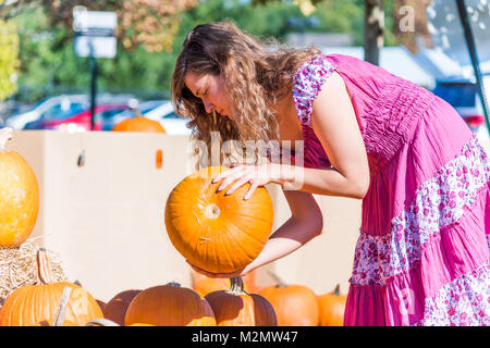 Jeune femme en robe rose ramasser des citrouilles des gros lourds holding group pile dans marché plein air store pour les vacances en pays campagne Banque D'Images