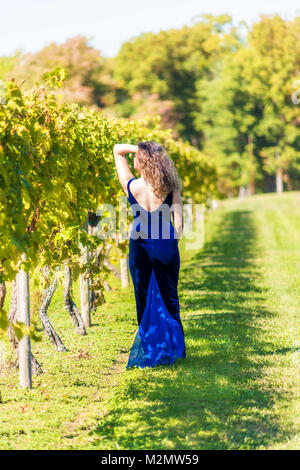 Jeune femme élégante en robe de velours bleu par vineyard winery feuilles de vigne à raisin vert Virginie holding, de toucher avec les mains, le dos Banque D'Images