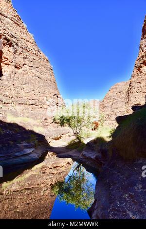 Le parc national de Purnululu,situé dans le domaine du patrimoine mondial sont une également connu comme l'Bungle Bungles dans le nord-est de l'Australie Occidentale Banque D'Images