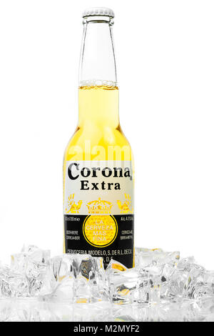 Trieste, Italie - le 23 juin 2016 : Corona Extra est l'un des top-selling beers worldwide est une pale lager produite par Cerveceria Modelo au Mexique. Banque D'Images