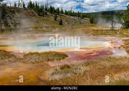 Piscine dans le puits sans fond des lacs de la chaîne de l'Upper Geyser Basin. Le Parc National de Yellowstone, Wyoming Banque D'Images