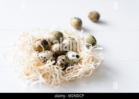Oeufs de caille sur fond de bois blanc. Banque D'Images