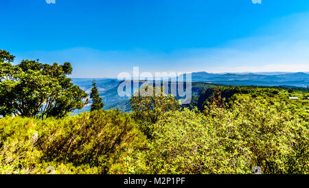 Vue depuis la fenêtre de Dieu sur le lowveld le long de la Route Panorama dans la province de Mpumalanga en Afrique du Sud Banque D'Images