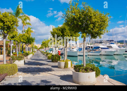 Passeig Maritim, Paseo Maritimo, Alcudiamar, Port d'Alcudia, Majorque, Iles Baléares, Espagne Banque D'Images