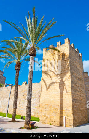 Les remparts médiévaux, vieille ville, Alcudia, Majorque, Iles Baléares, Espagne Banque D'Images