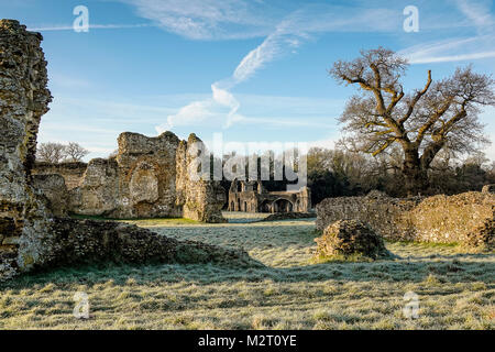 Waverley Lane, Farnham. Le 08 février 2018. Un froid glacial pour la journée, pour le Home Counties avec des températures sous zéro. Gel à l'abbaye de Waverley, près de Farnham, dans le Surrey. Credit : james jagger/Alamy Live News Banque D'Images