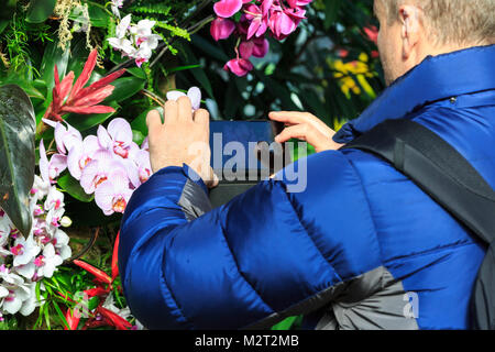 Kew Gardens, Londres, 8 février 2018. Un visiteur est désireux de le les fleurs. Kew accueillera encore une fois le Festival d'orchidées, cette année, une célébration de la Thaïlande est de couleurs vives, de la culture, et de magnifiques plantes. Des milliers d'orchidées et de plantes tropicales avec l'explosion de couleur peut être vu dans l'incroyable spectacle.Le festival se déroulera du samedi 10 février au dimanche 11 mars 2018 Credit : Imageplotter News et Sports/Alamy Live News Banque D'Images